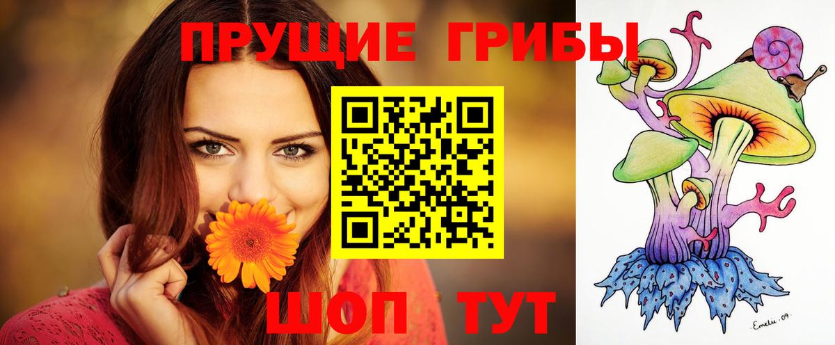 Карталы  купить  цена  Вход с VPN  Псилоцибиновые грибы мицелий 