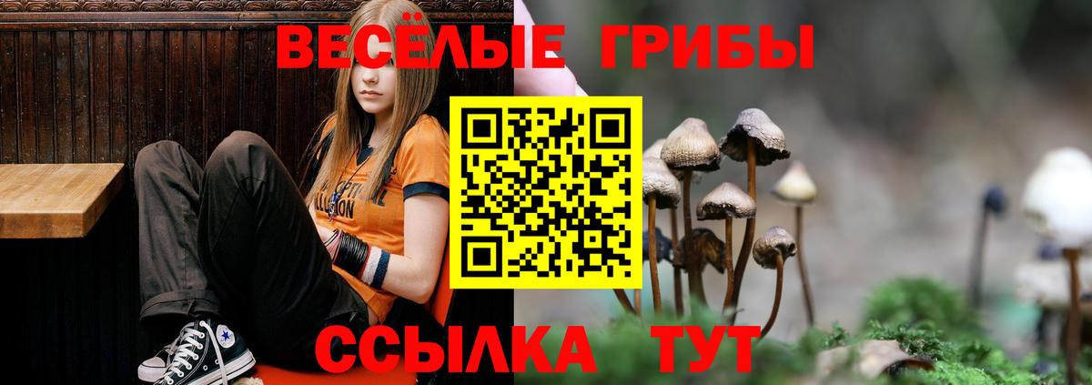 Псилоцибиновые грибы GOLDEN TEACHER Карталы